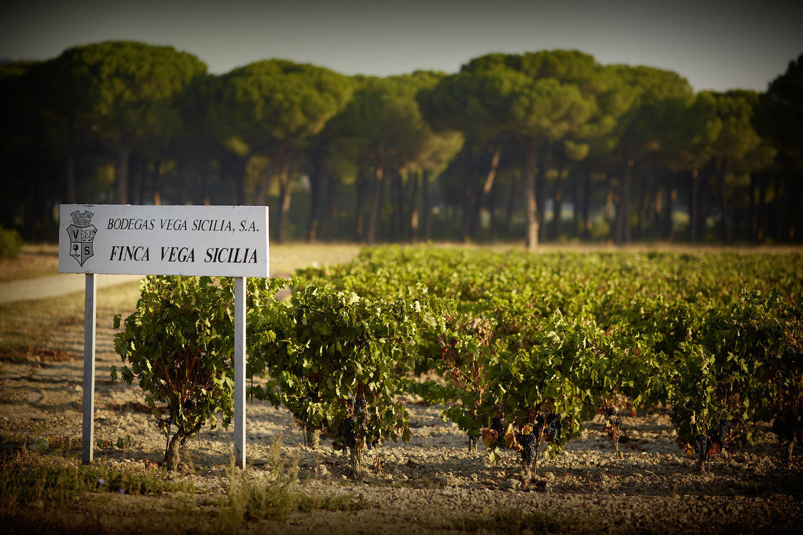The stunning wines from Spanish icon Vega Sicilia
