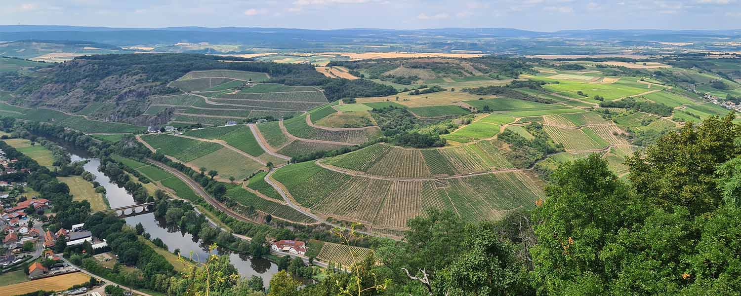Masters of Riesling Tour 2022 - Part 2