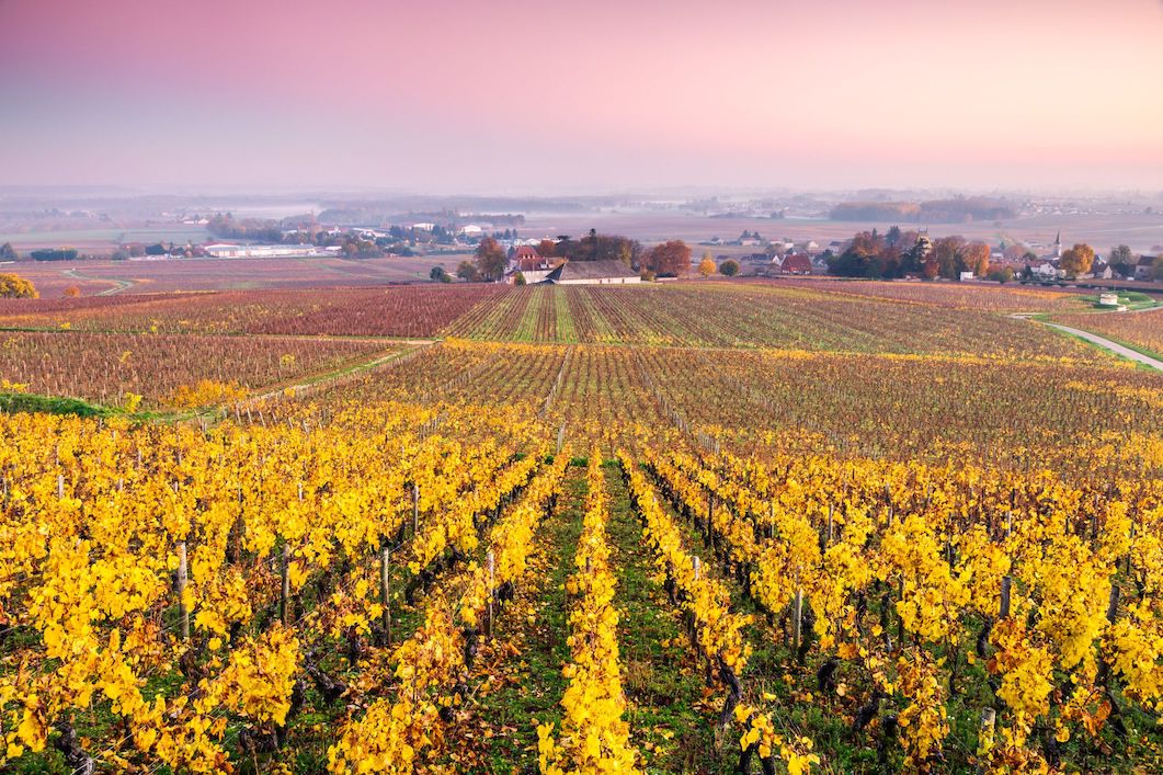Autumn in Burgundy