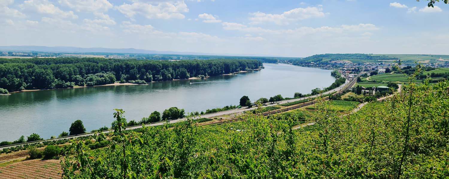 Masters of Riesling Tour 2022 - Part 1