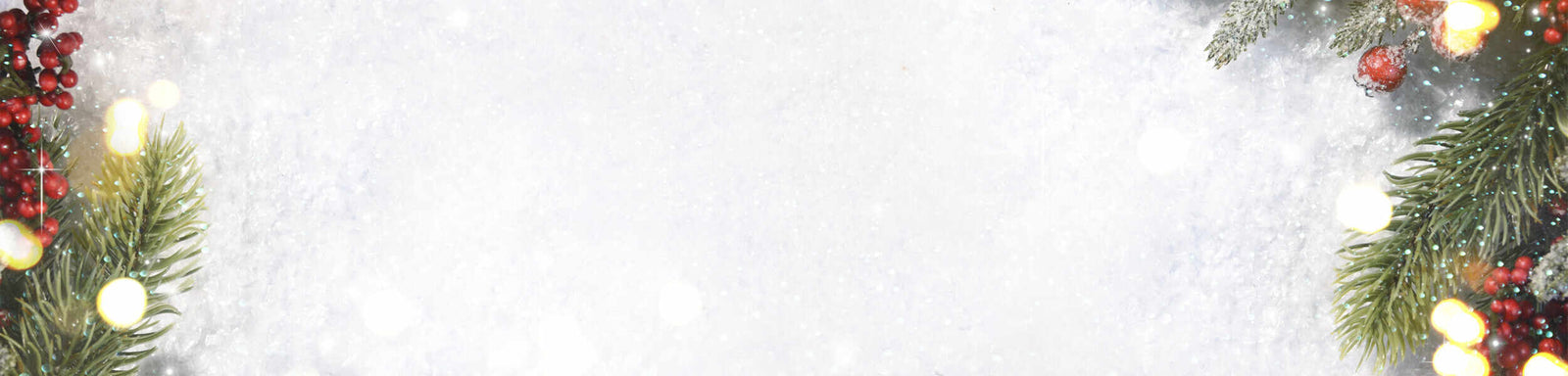 Christmas Offer - Champagne Louis Barthelemy