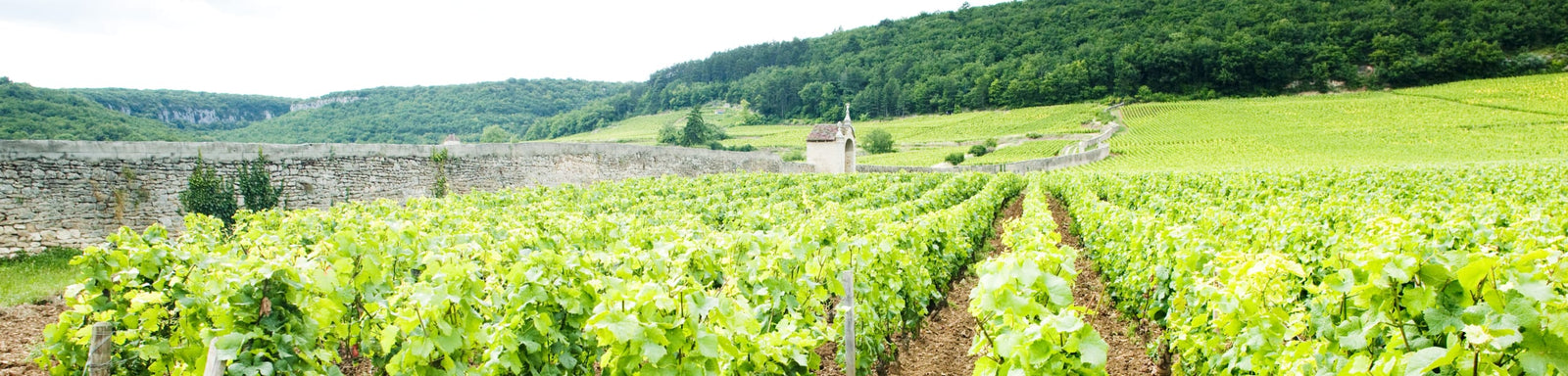 Ghislaine Barthod En Primeur