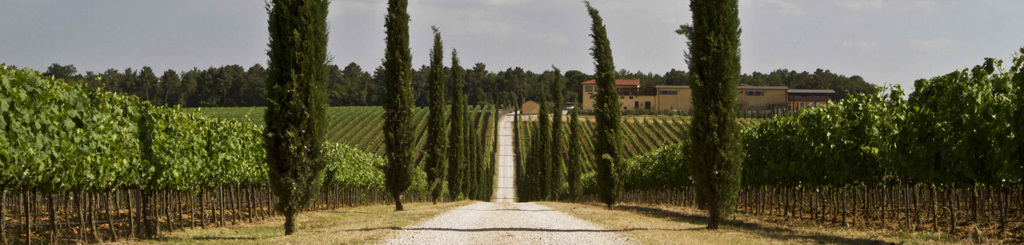 Antinori Estate Portfolio