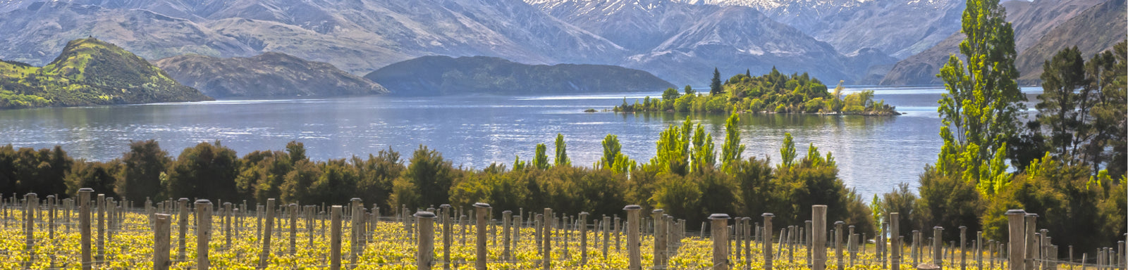New Zealand