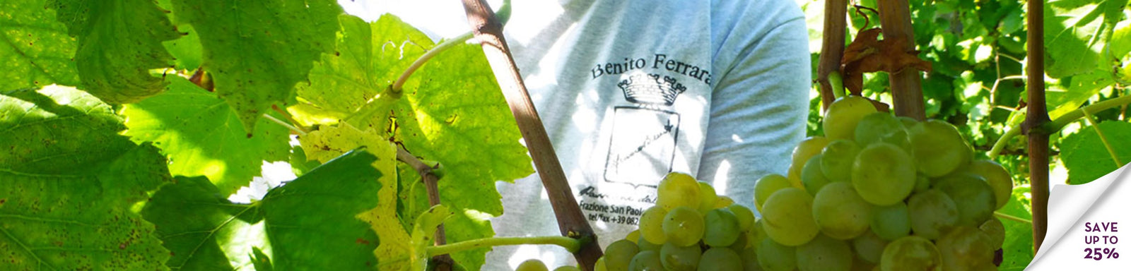 Benito Ferrara Special