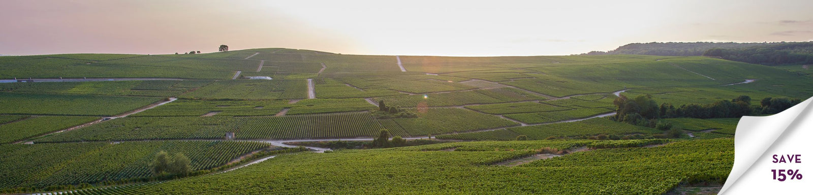 Charles Heidsieck Vineyard, Save 15% on Brut Reserve NV