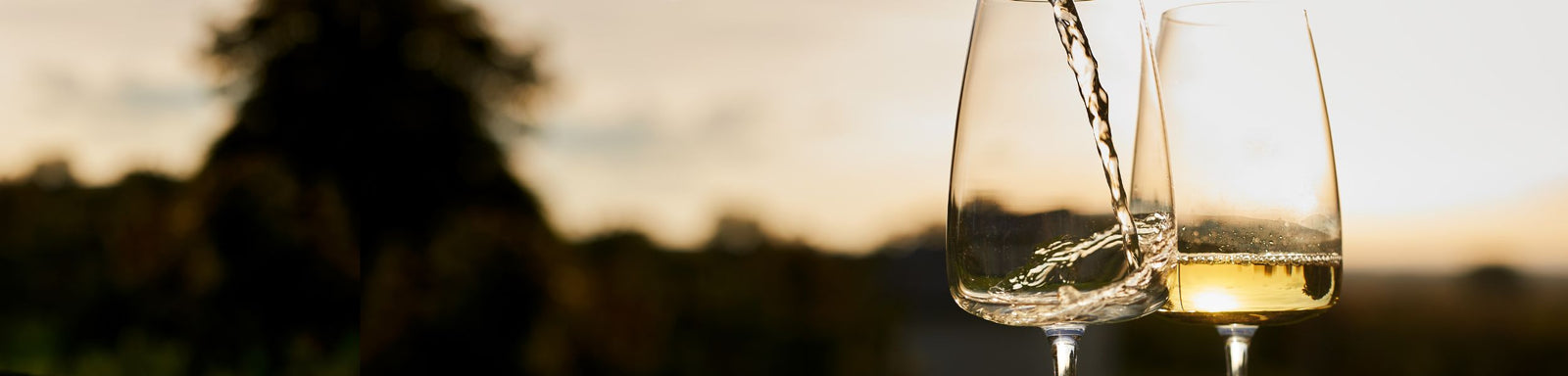 International Riesling Day