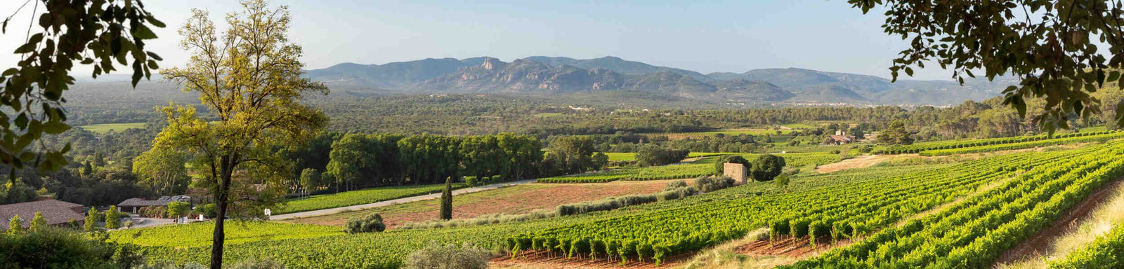 Chateau d'Esclans